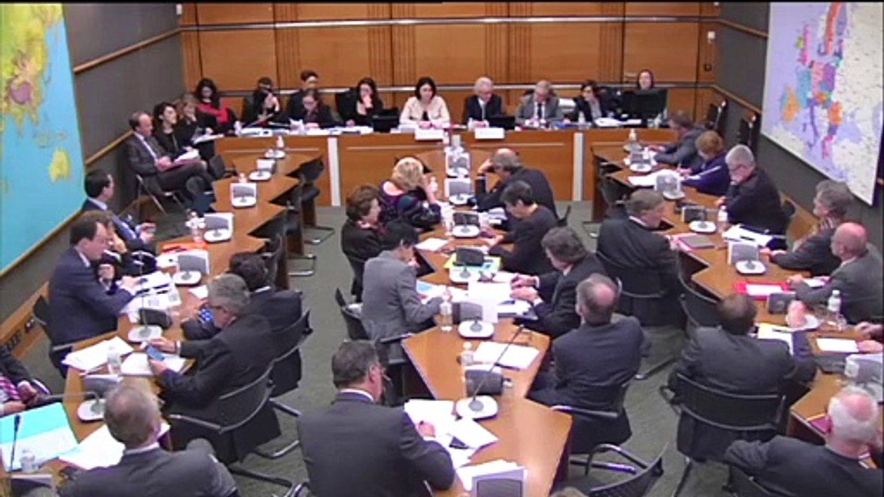 Audition de Sylvia Pinel, Ministre de la Ruralité et de l'Egalité des territoires - questions sur les villes bourgs centre - Mardi 3 Mars 2015