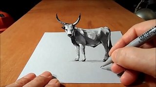 3D Drawing and Painting