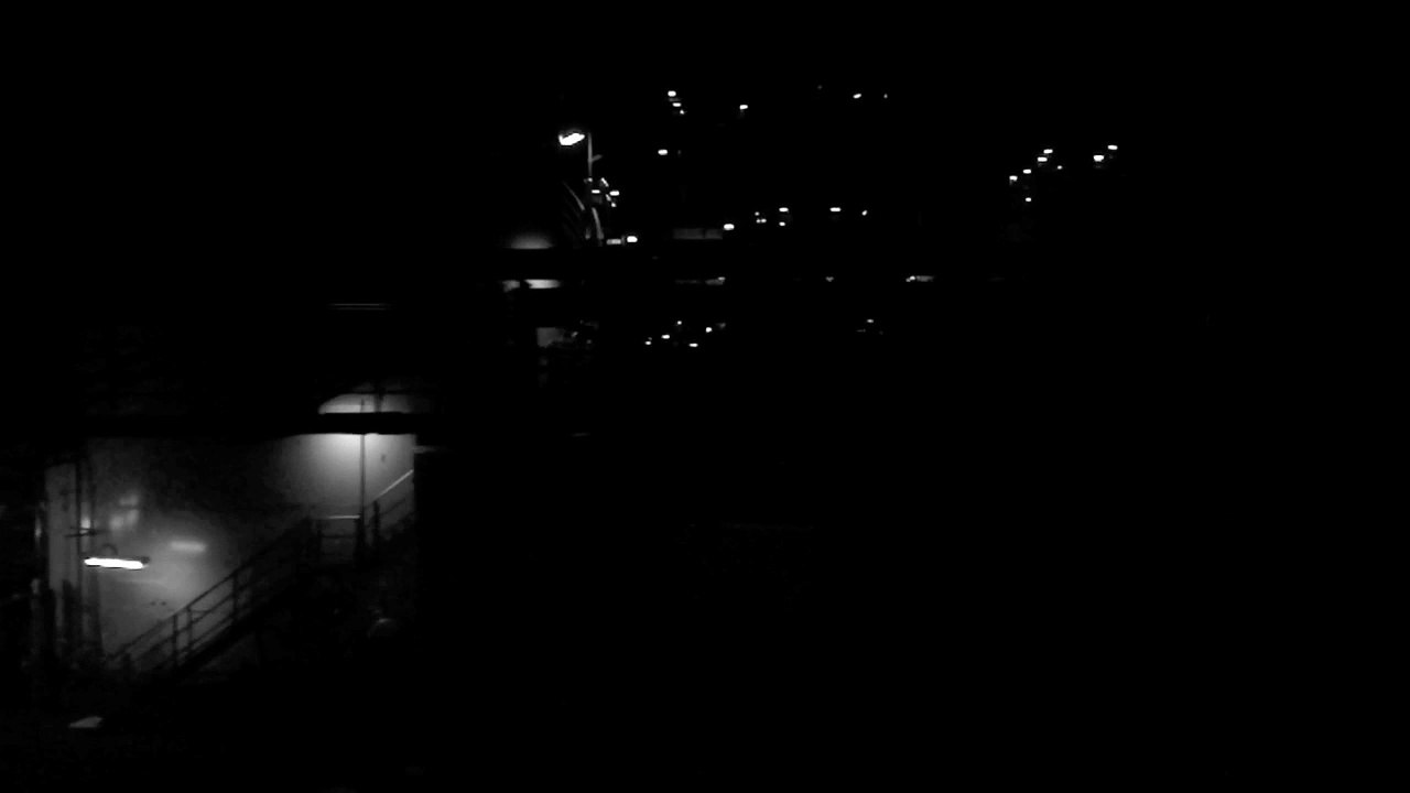 Fleur noire - Dix-Neuf - Datenverarbeiter