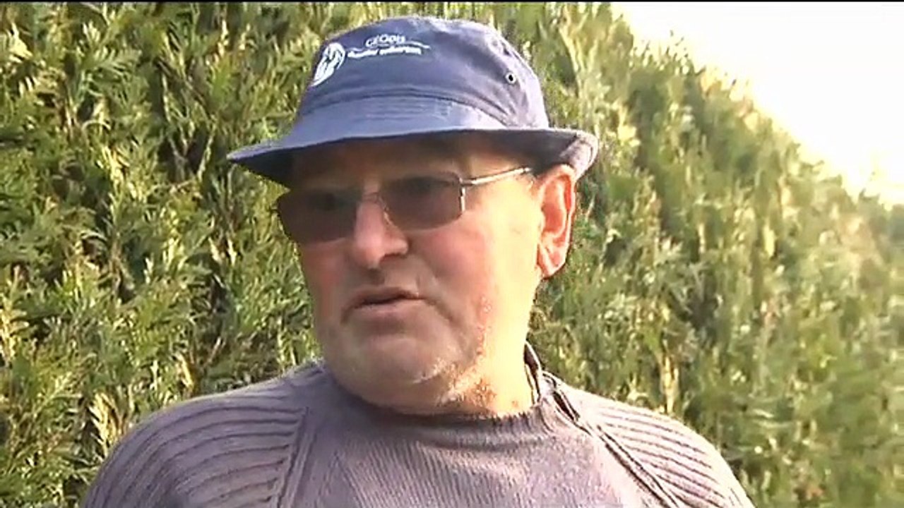 Une serre pour protéger ses plants de légumes