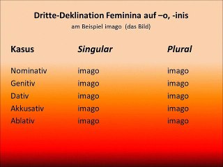 Dritte-Deklination Feminina auf -o, -inis