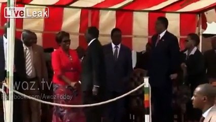 Zimbabwe's President Robert Mugabe Falls Down Steps