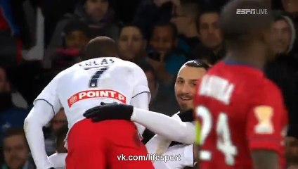 Goal Maxwell - Lille 0 - 1 Paris SG - Coupe de la Ligue -03/02/2015