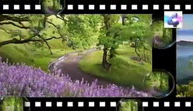 asi hablan los animales, Misterios y Enigmas, Español latino