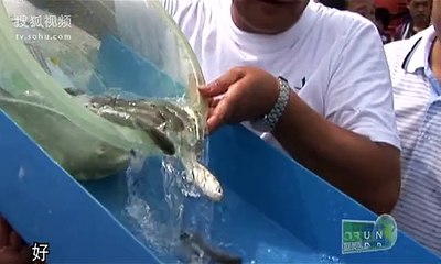 0059-第59集绿色海洋蓝色保护