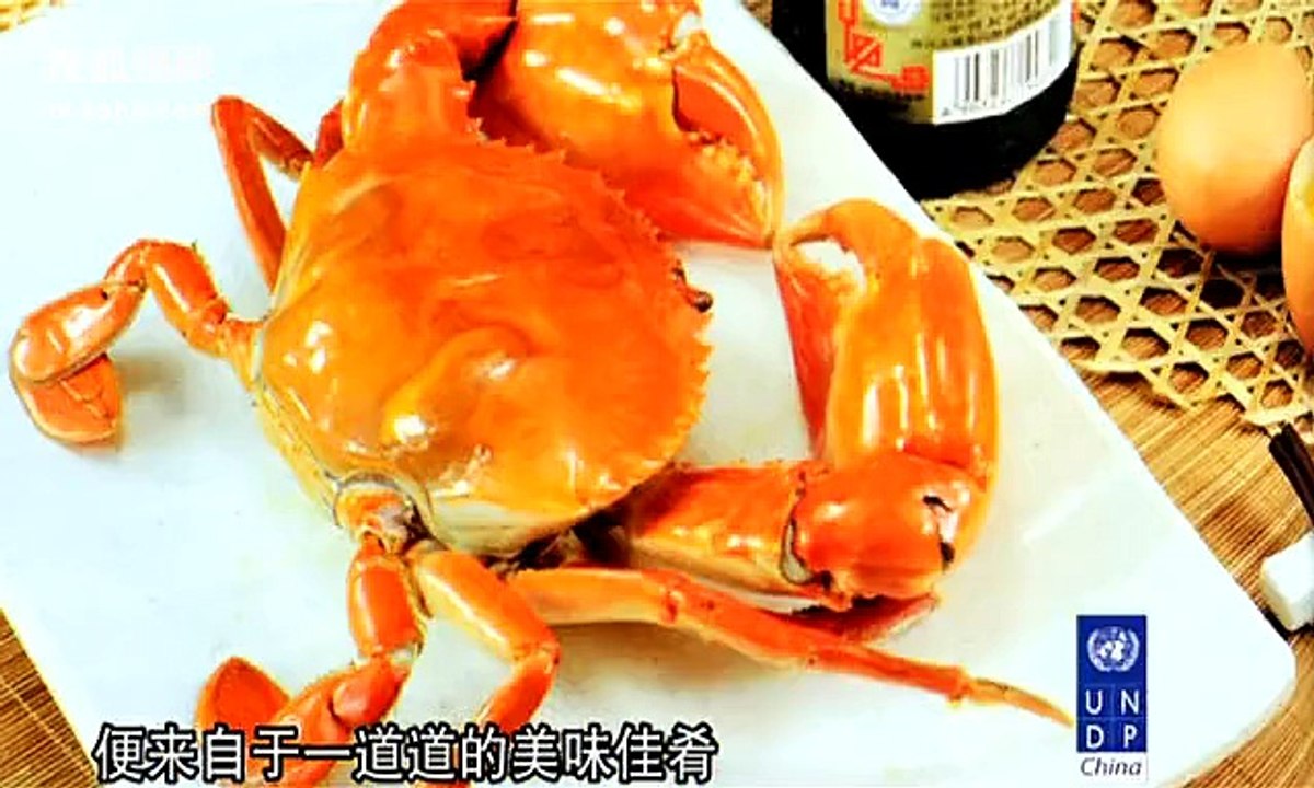 0060-第60集鱼说