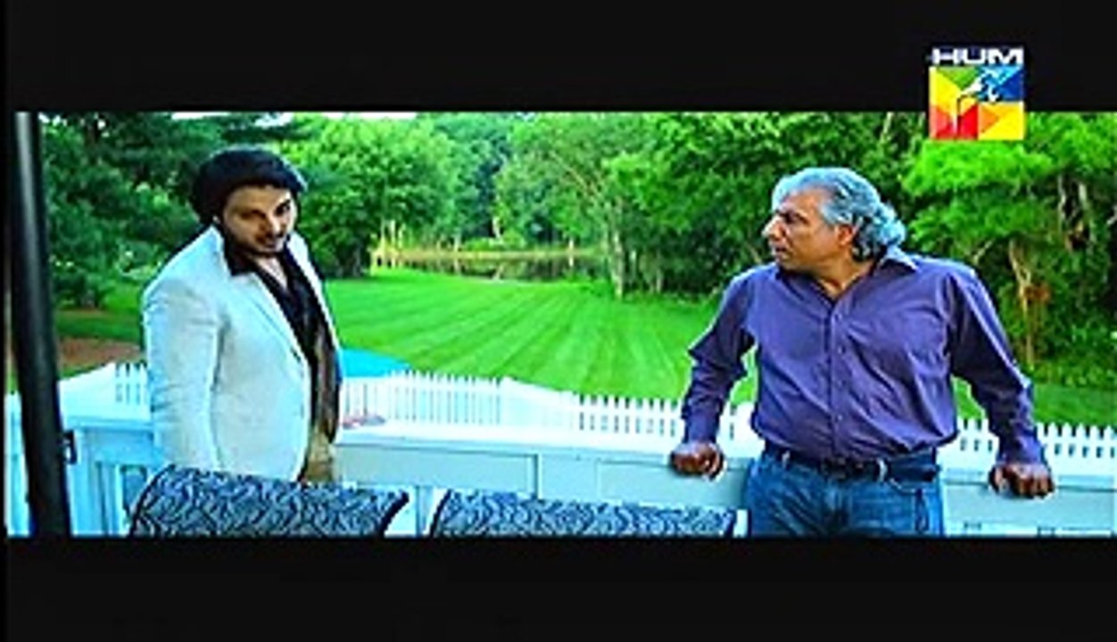 Zid Episode 7 Full Feb 03, 2015 Hum TV Drama - Video Dailymotion