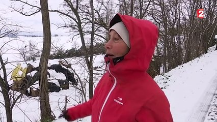 La neige paralyse Toulouse