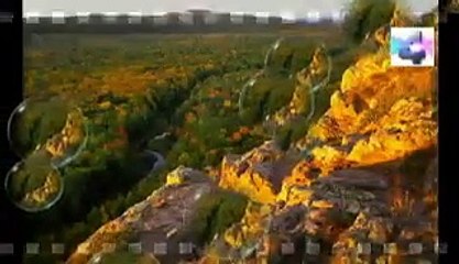 daños por usar tu celular, Misterios y Enigmas, Español latino