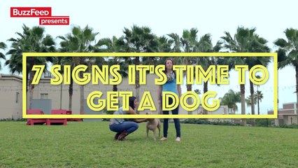 7 Signs It’s Time To Get A Dog