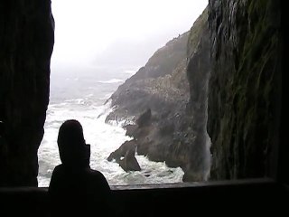 Cormorants at Sea Lion Caves