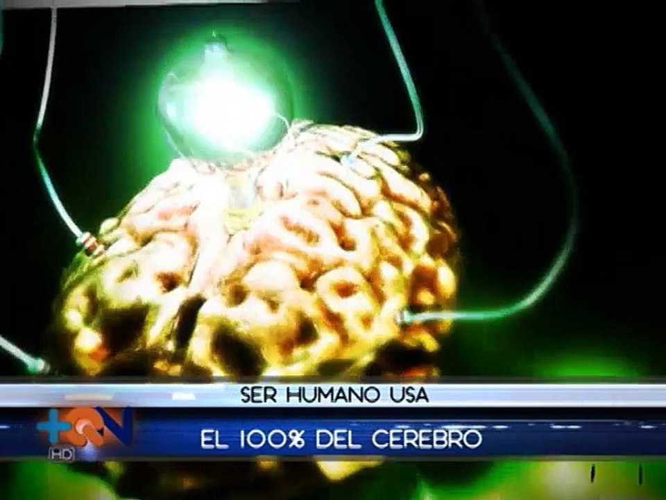 ¿Cuánto del cerebro usamos?