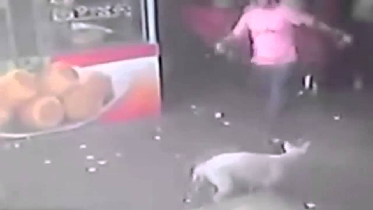 Karma Strikes Quick When This Man Tries To Kick A Dog