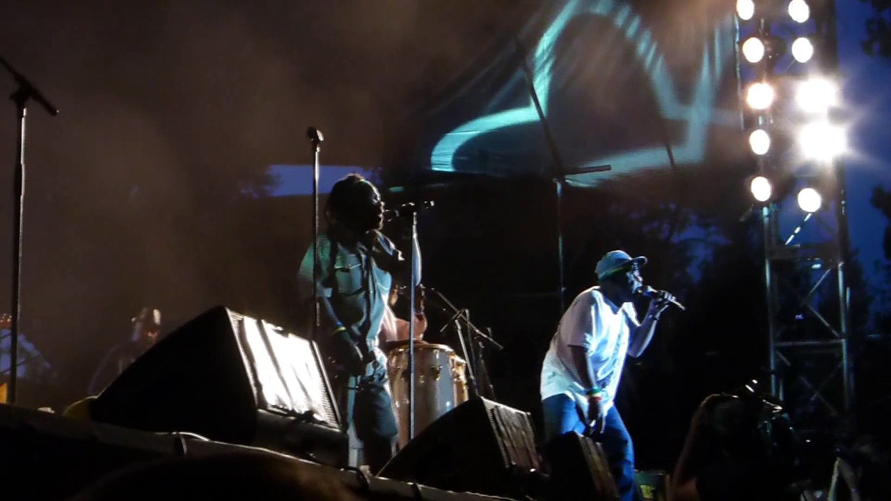 black roots (live) garance reggae festival 2014