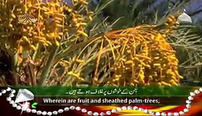 Surah Rehman - Urdu Translation - Al Quran - Video