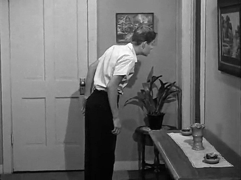The Real Mccoys - S04E22 Baseball vs. Love