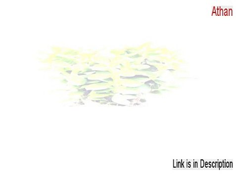 Athan (Azan) Basic Crack - Instant Download 2015