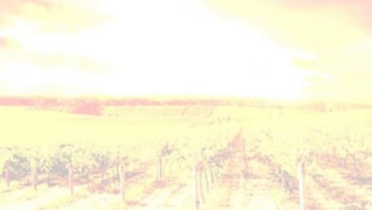 canoscan lide 100 free driver download xp