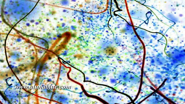 Video Loops, HD Stock Footage