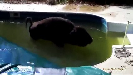 Funny Pranks - for children,fart in face,failarmy