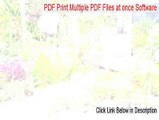 PDF Print Multiple PDF Files at once Software Free Download - pdf print multiple pdf files software 2015