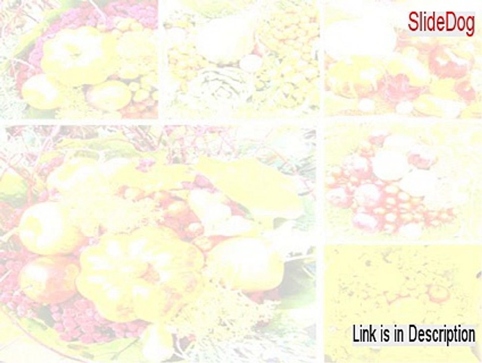 SlideDog Cracked (Download Now)