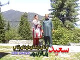 Pashto Album Shondi Sharabi Part 7