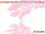 Convert Multiple OpenOffice ODS Files To XLS Files Software Download [Free of Risk Download]