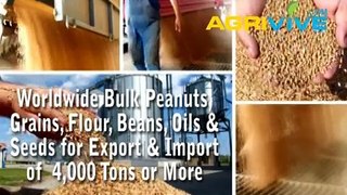 Peanuts Milling, Peanuts, Peanuts Wet Mill, Peanuts, Peanuts, Mill Peanuts, Miller of Peanuts