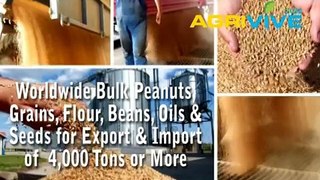 Shop Bulk Wholesale Peanuts, Peanuts Export, Peanuts Grinding Mills, Peanuts Flour Mill, Peanuts Mill