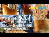 Shop Bulk Wholesale Peanuts, Peanuts Export, Peanuts Grinding Mills, Peanuts Flour Mill, Peanuts Mill