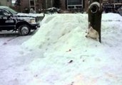Husky Enjoys Being Buried in Snow