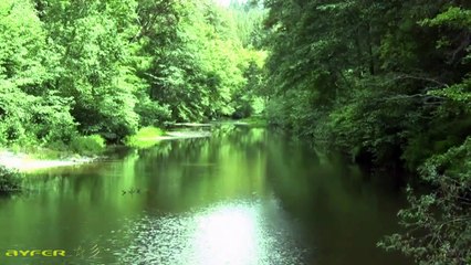 Celtic music with Harp  ☆彡