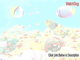 WatchDog Crack (Download Now)