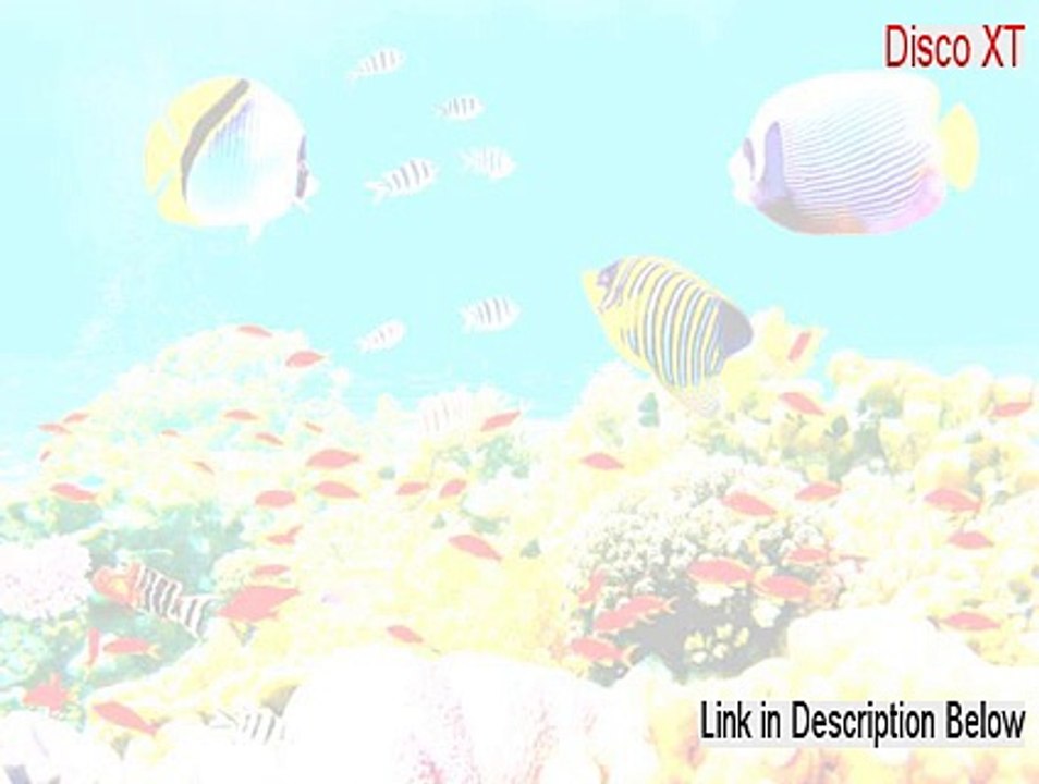 Disco XT Full - disco xt basic 2015