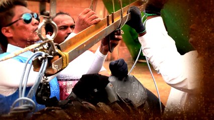 Rudramadevi Allu Arjun Video