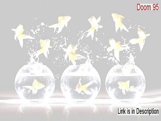 Doom 95 Download Free [Risk Free Download]