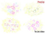 ProxyCap (64-bit) Serial (Download Now 2015)