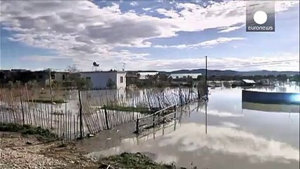 Flooding in Balkans causes major losses to livestock and crops