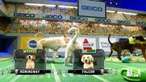 Two Touchdowns in Two Minutes!   Puppy Bowl XI