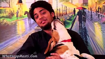 Stupid Reasons To Drink Hd(funny video)