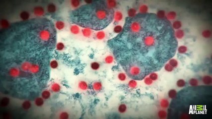 What Is  Triple E  and Why Should You Care    Monsters Inside Me