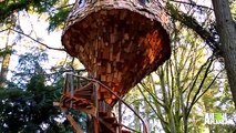 Take a Tour of a Beehive Inspired Treehouse   Treehouse Masters