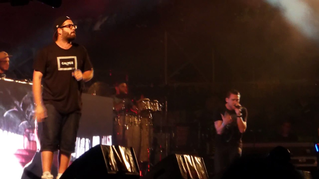 chinise man (live) garance reggae festival 2014