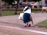 Ha Ha Ha !!! Crazy Goat teasing a lady - Funny