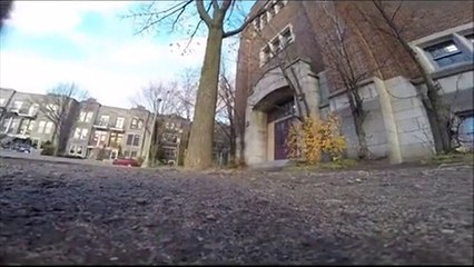 A squirrel stole this lad's GoPro...R2D2 Budgie! - Hilarious Videos _ Facebook