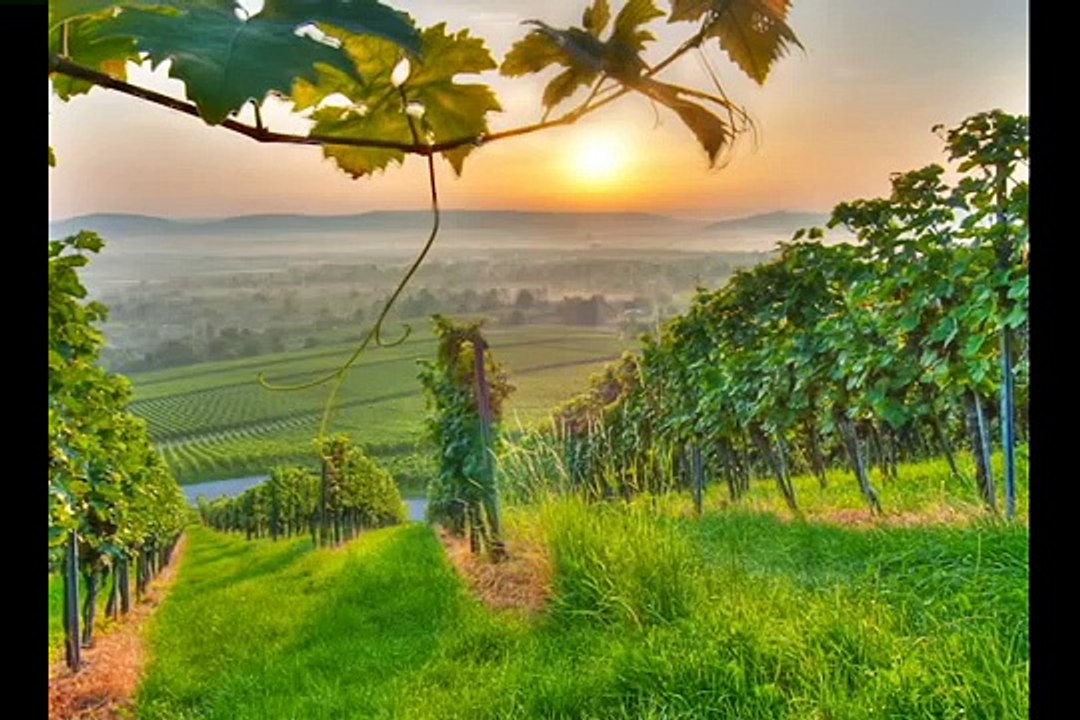 Os frutos do Espirito Santo Bispo Macedo