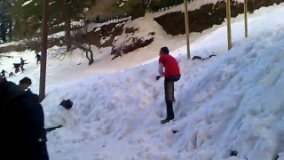 Murre snow fall 2015