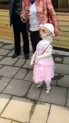 Meany kal news nahi deki............. -P -P -P