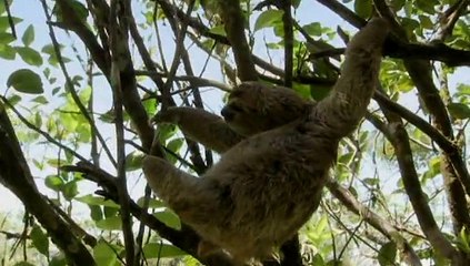 Nature's Miracle Orphans - S01 - E02